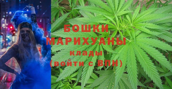 крисы Пересвет