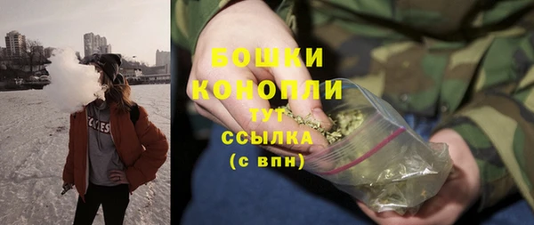 сатива Переславль-Залесский