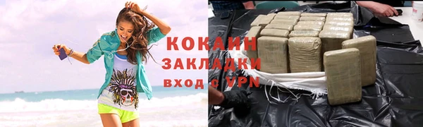 крисы Пересвет