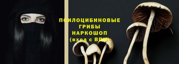 крисы Пересвет