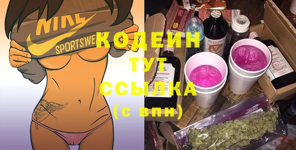 крисы Пересвет