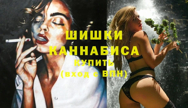 крисы Пересвет