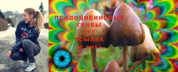амф Железногорск-Илимский