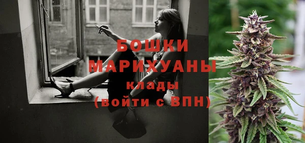 крисы Пересвет