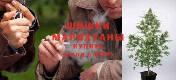 крисы Пересвет