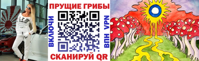 Псилоцибиновые грибы MAGIC MUSHROOMS  Иннополис 